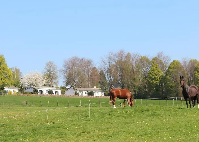 Met Uitzicht! Domein Hellebeuk Valkenburg-klimmen Дом отдыха