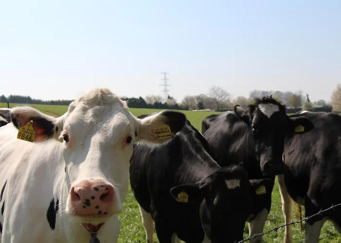 Met Uitzicht! Domein Hellebeuk Valkenburg-klimmen Дом отдыха *