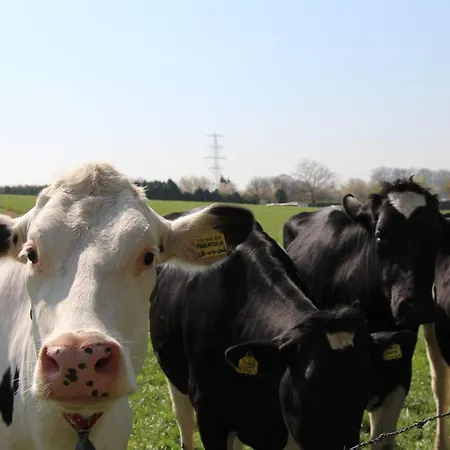 Met Uitzicht! Domein Hellebeuk Valkenburg-klimmen Сasa de vacaciones *